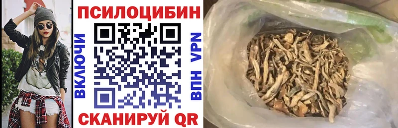 Псилоцибиновые грибы MAGIC MUSHROOMS  маркетплейс как зайти  Николаевск-на-Амуре 