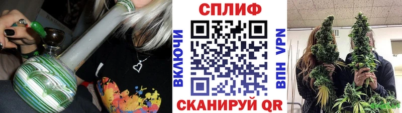 где купить   Николаевск-на-Амуре  Конопля план 